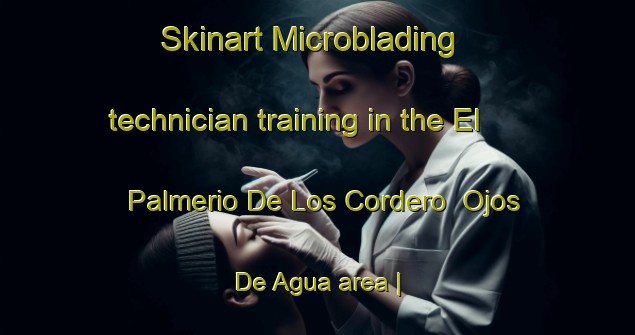 Skinart Microblading technician training in the El Palmerio De Los Cordero  Ojos De Agua area | MicrobladingTraining | MicrobladingClasses | SkinartTraining-Mexico